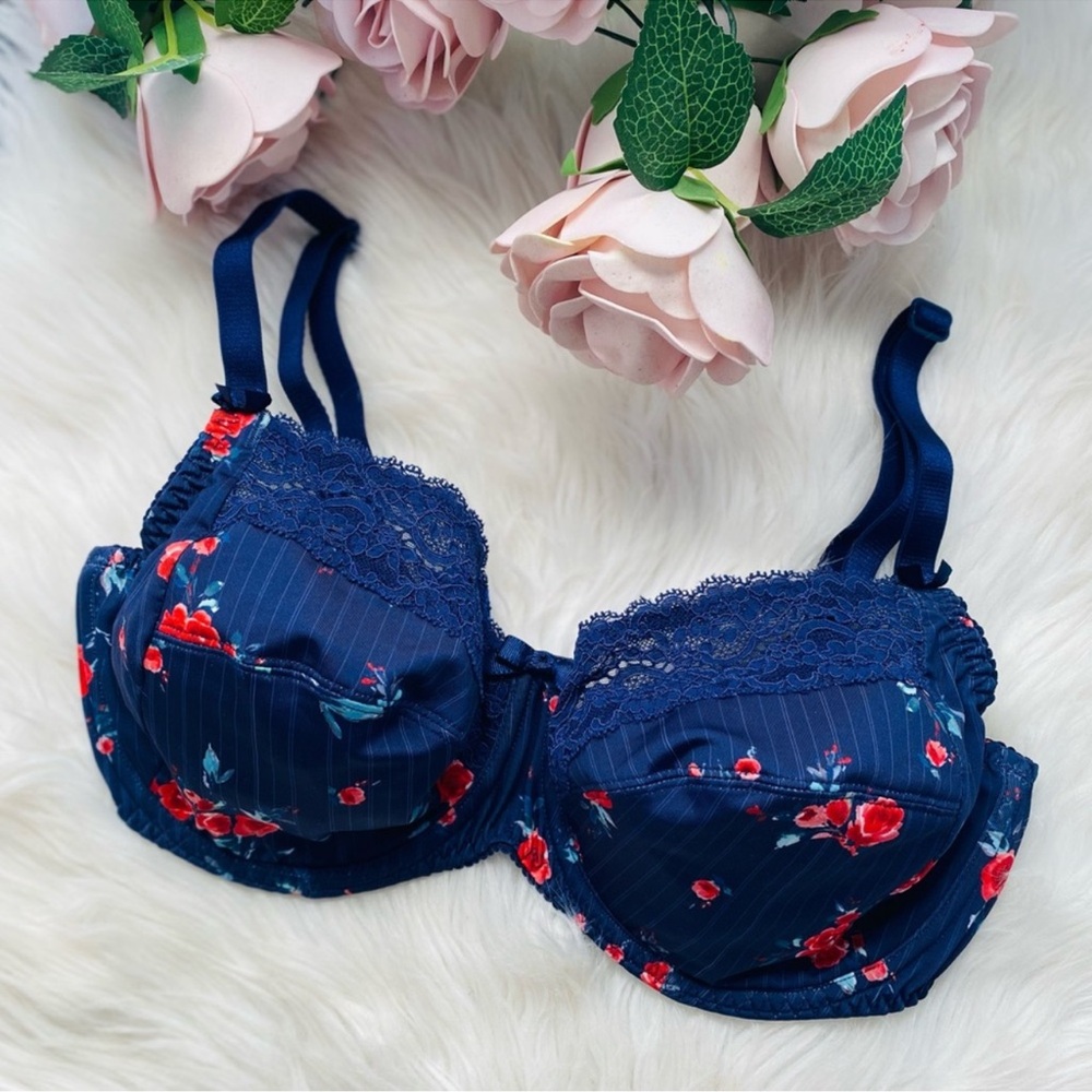 NWOT ANTINÉA BY LISE CHARMEL Luxury Blue Floral Cherry Lace Bra 34DD